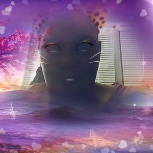 Meet your Posher, Celestine